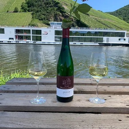 아파트 Moselglueck Polich