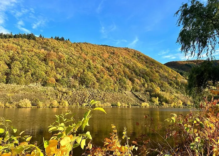 Moselglueck Apartament Polich